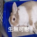 [sticker](media:AAQFABNoy8syAASxcCakljPnXzsfAAIC@telegram)