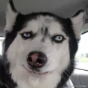 [sticker](media:AAQFABNq6K4yAASMccMbe-ILj2AfAAIC@telegram)