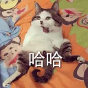 [sticker](media:AAQFABNqt8syAARt9sYWUjXXrYwFAAIC@telegram)