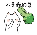 [sticker](media:AAQFABNvZtYyAARpeQpXZIdN95ceAAIC@telegram)