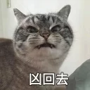 [sticker](media:AAQFABNzb8oyAAR-UqqqLGX-B-4OAAIC@telegram)