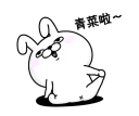 [sticker](media:AAQFABO1TdsyAATcHVAzXUXg1aY8AAIC@telegram)
