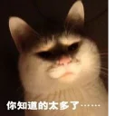 [sticker](media:AAQFABO1jr8yAAS04hMQTllbc4kLAAIC@telegram)