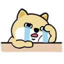 [sticker](media:AAQFABO24tQyAATr2KMM9e0wqiwUAAIC@telegram)