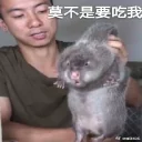 [sticker](media:AAQFABO7-9oyAASzhVYu9gKtsvmFAAIC@telegram)