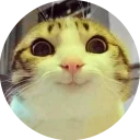 [sticker](media:AAQFABOCXMoyAAQDHoRTy6Xt2rYSAAIC@telegram)