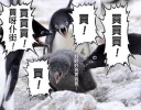 [sticker](media:AAQFABOFi8oyAATJo7SIl4uSbsRCAAIC@telegram)