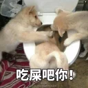 [sticker](media:AAQFABOGvMsyAASX8gABvCMQRxm3TAACAg@telegram)