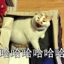 [sticker](media:AAQFABOJZtAyAAQpEklbRjhvhHk6AAIC@telegram)