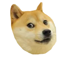 [sticker](media:AAQFABOL-q4yAAQcKQPLdlmRU3chAAIC@telegram)