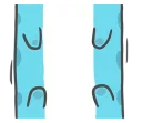 [sticker](media:AAQFABOMDsoyAARUXWtx7aG1ntU3AAIC@telegram)