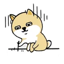 [sticker](media:AAQFABONXtAyAAQeDb2DiAU91m0KAAIC@telegram)