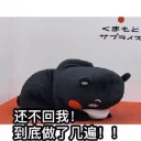 [sticker](media:AAQFABOVGsoyAAS0Qng5_6LkpScBAAIC@telegram)