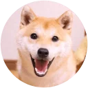 [sticker](media:AAQFABObL9MyAAQHJXLDbso4MuQeAAIC@telegram)