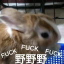 [sticker](media:AAQFABOcMtMyAASplG9XCPUVNh4WAAIC@telegram)