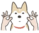 [sticker](media:AAQFABOd2rEyAATnVTZRni6T64wlAAIC@telegram)