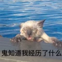 [sticker](media:AAQFABOgosoyAAS1K93vcsOnTYNEAAIC@telegram)