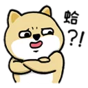 [sticker](media:AAQFABOr_9QyAASGW114_Ab9TRYUAAIC@telegram)