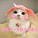 [sticker](media:AAQFABOtOdUyAAS4HchxRLPUrJc9AAIC@telegram)