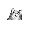 [sticker](media:AAQFABOu87EyAASH7t-pSdo2sKoMAAIC@telegram)