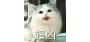 [sticker](media:AAQFABOx3MsyAARtWgfw7ps6MWo4AAIC@telegram)