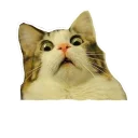 [sticker](media:AAQFABOxMr4yAARmGNwpPqu7LpoVAAIC@telegram)