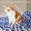 [sticker](media:AAQFABP-l8oyAASgcFTVivPdwOY8AAIC@telegram)