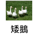 [sticker](media:AAQFABP0670yAASbsND1eyjkYPMDAAIC@telegram)