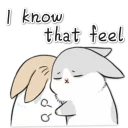 [sticker](media:AAQFABP8osoyAAQPcUQhXM7rOeQdAAIC@telegram)