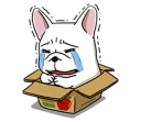 [sticker](media:AAQFABPBYL4yAATChlmktBu3usAkAAIC@telegram)