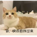 [sticker](media:AAQFABPCP9UyAAR-aq_Jw6rq2yEbAAIC@telegram)