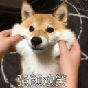 [sticker](media:AAQFABPCj8syAASSRDVKFBoXMulTAAIC@telegram)