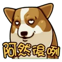 [sticker](media:AAQFABPFdNMyAARJchdPpt0Yx8EeAAIC@telegram)