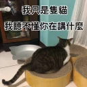 [sticker](media:AAQFABPGQ9syAAS3NyJkqs3dWHQRAAIC@telegram)