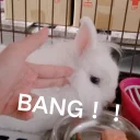 [sticker](media:AAQFABPKttAyAAQhofAk_fhgCyodAAIC@telegram)