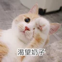 [sticker](media:AAQFABPVO9UyAARaoed5rQdgYh4-AAIC@telegram)