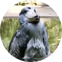 [sticker](media:AAQFABPVRd4yAAR21uMrUtNNH2IjAAIC@telegram)