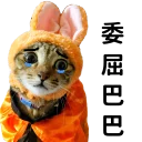 [sticker](media:AAQFABPXcdYyAATkDLGH_U0CInMJAAIC@telegram)