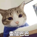 [sticker](media:AAQFABPXh8oyAAQbzE1Yba8952IxAAIC@telegram)