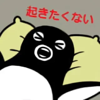 [sticker](media:AAQFABP_4fcyAAQjmeHGmaH_cO0NAAIC@telegram)