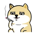 [sticker](media:AAQFABPaVdAyAATFz6_-pr0cjjwIAAIC@telegram)