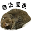 [sticker](media:AAQFABPeTtYyAAQtBd6JpvXzs6MKAAIC@telegram)