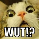 [sticker](media:AAQFABPeYr4yAAR6a9J4V-GURJMGAAIC@telegram)