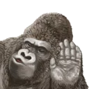 [sticker](media:AAQFABPfmtAyAAQC9StrkUrdjQ4SAAIC@telegram)