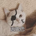 [sticker](media:AAQFABPiELIyAAQ78n2u4Ms9GKMOAAIC@telegram)