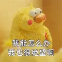 [sticker](media:AAQFABPuA8wyAAR_w_8mB3Iky8I0AAIC@telegram)