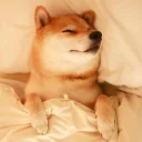 [sticker](media:AAQFABPvW8oyAATSfkQWeAPot6kMAAIC@telegram)