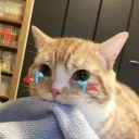 [sticker](media:AAQFABPxFdUyAASxiHgyFtlvBnVTAAIC@telegram)