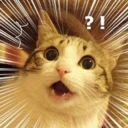 [sticker](media:AAQFABPx_toyAATGn2RlcMfUO940AAIC@telegram)