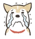 [sticker](media:AAQFABPy67EyAATZhPIeKHTjKG4YAAIC@telegram)